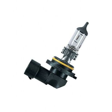 Osram H10 42W 12V 1stk